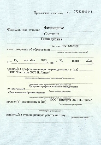 Приложение к диплому ЭОТ, титульная страница